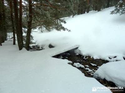 Raquetas de Nieve - Puerto de Cotos; viajes y rutas; grupos de montaña;rutas a pie por la pedriza